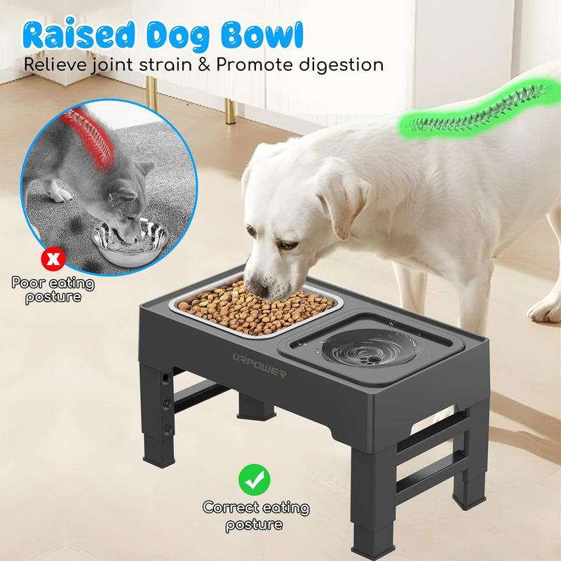 URPOWER Elevated Dog Bowls 4 Height Adjustable Raised Dog Bowl with 2 Large Capacity Stainless Steel Dog Food Bowls and Dog Water Bowl Non-Slip Dog Bowl Stand for Small Medium Large Dogs and Pets