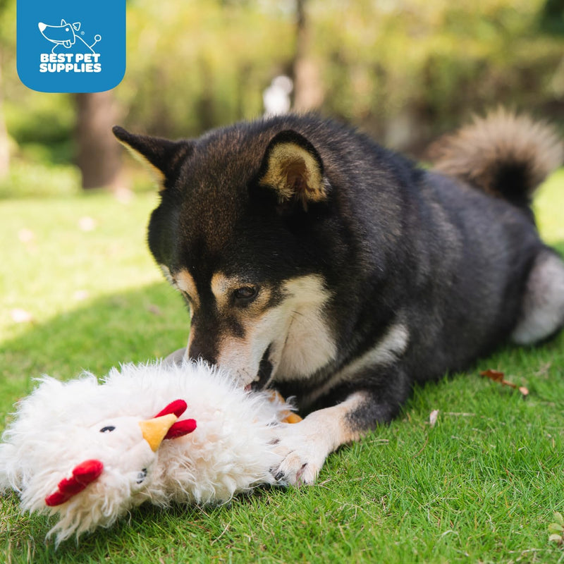 Best Pet Supplies Crinkle Dog Toy for Small, Medium, and Large Breeds, Cute No Stuffing Duck with Soft Squeaker, Fun for Indoor Puppies and Senior Pups, Plush No Mess Chew and Play - Yellow