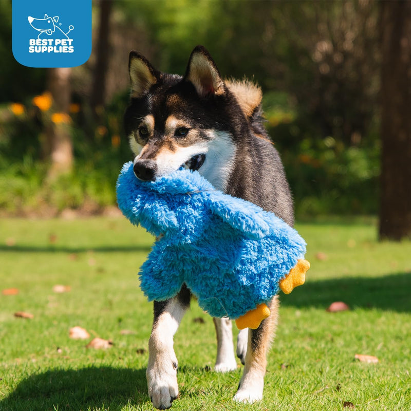 Best Pet Supplies Crinkle Dog Toy for Small, Medium, and Large Breeds, Cute No Stuffing Duck with Soft Squeaker, Fun for Indoor Puppies and Senior Pups, Plush No Mess Chew and Play - Yellow