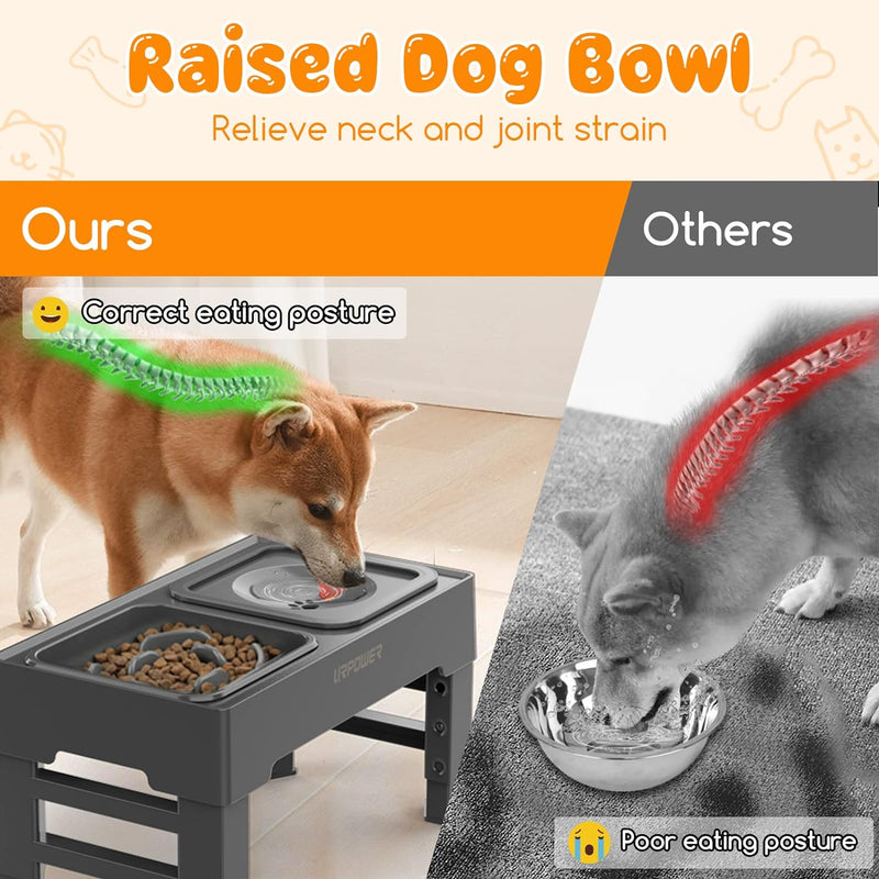 URPOWER Elevated Dog Bowls 4 Height Adjustable Raised Dog Bowl with 2 Large Capacity Stainless Steel Dog Food Bowls and Dog Water Bowl Non-Slip Dog Bowl Stand for Small Medium Large Dogs and Pets