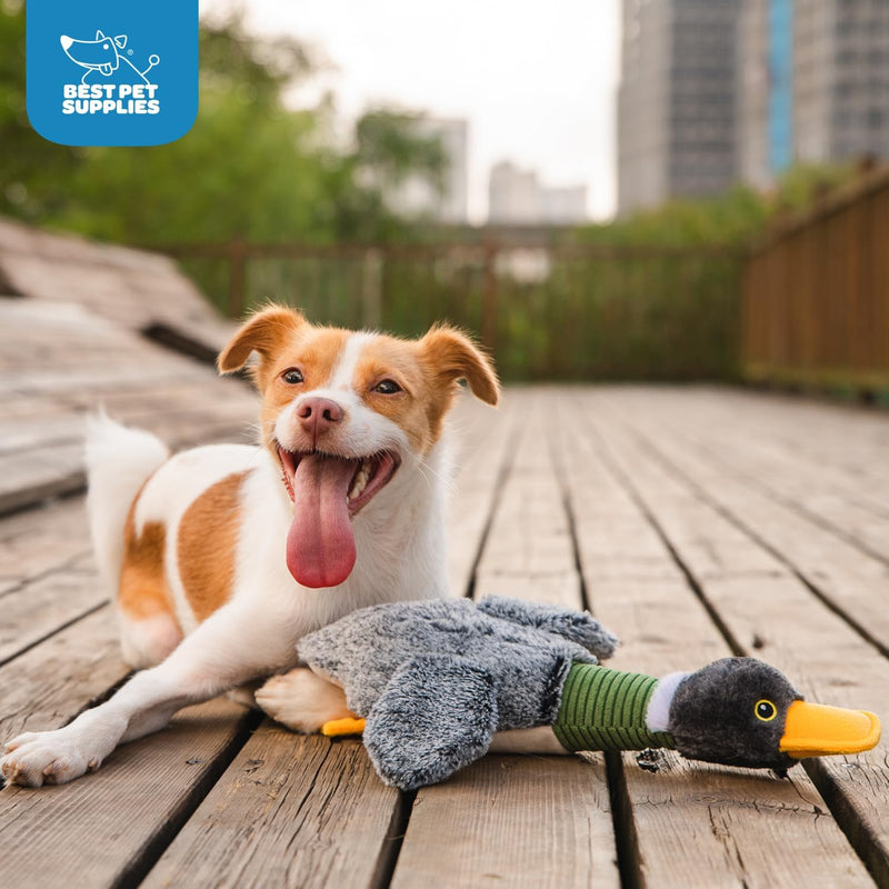 Best Pet Supplies Crinkle Dog Toy for Small, Medium, and Large Breeds, Cute No Stuffing Duck with Soft Squeaker, Fun for Indoor Puppies and Senior Pups, Plush No Mess Chew and Play - Yellow